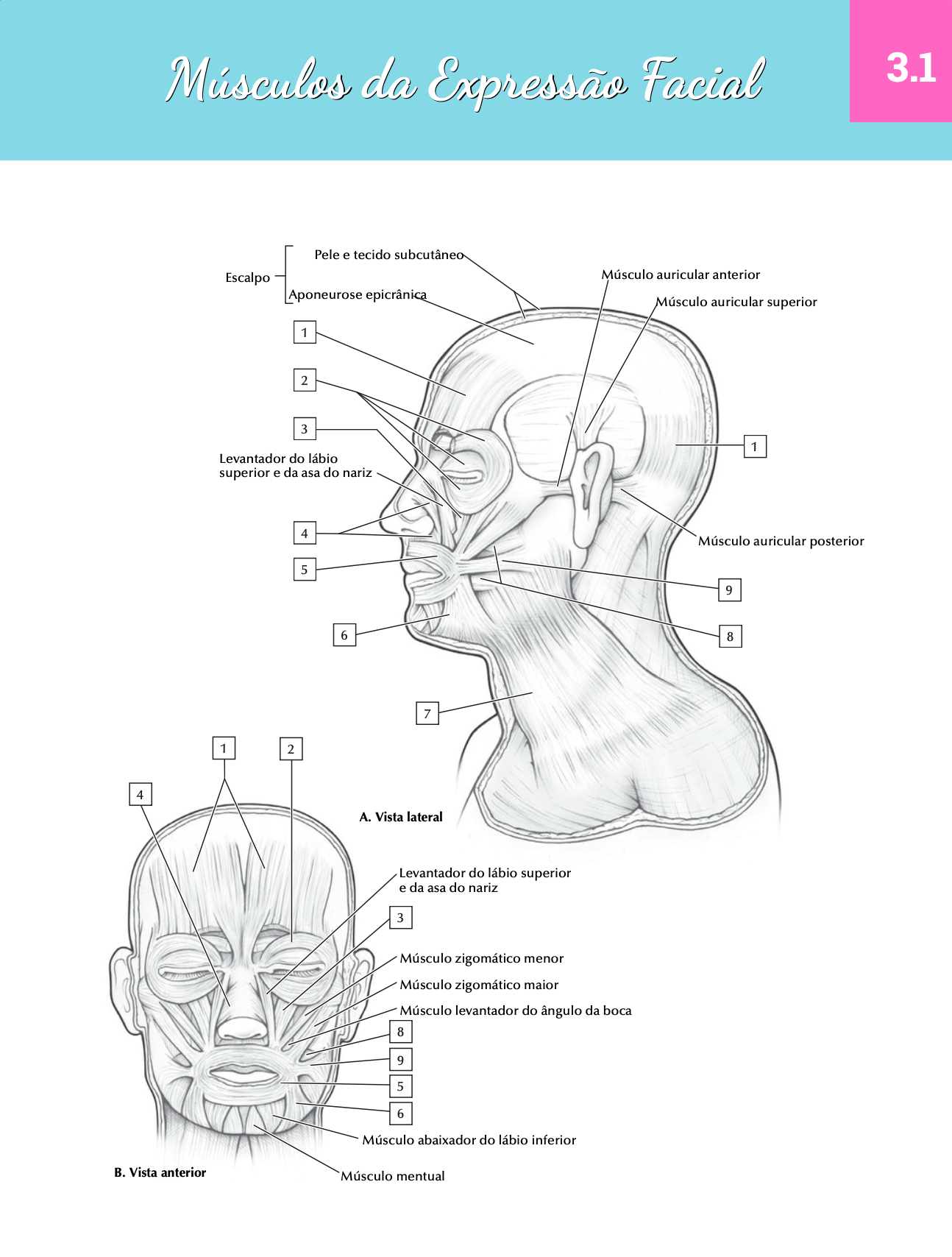 Captura de Tela 2025-09-23 às 10.50.55