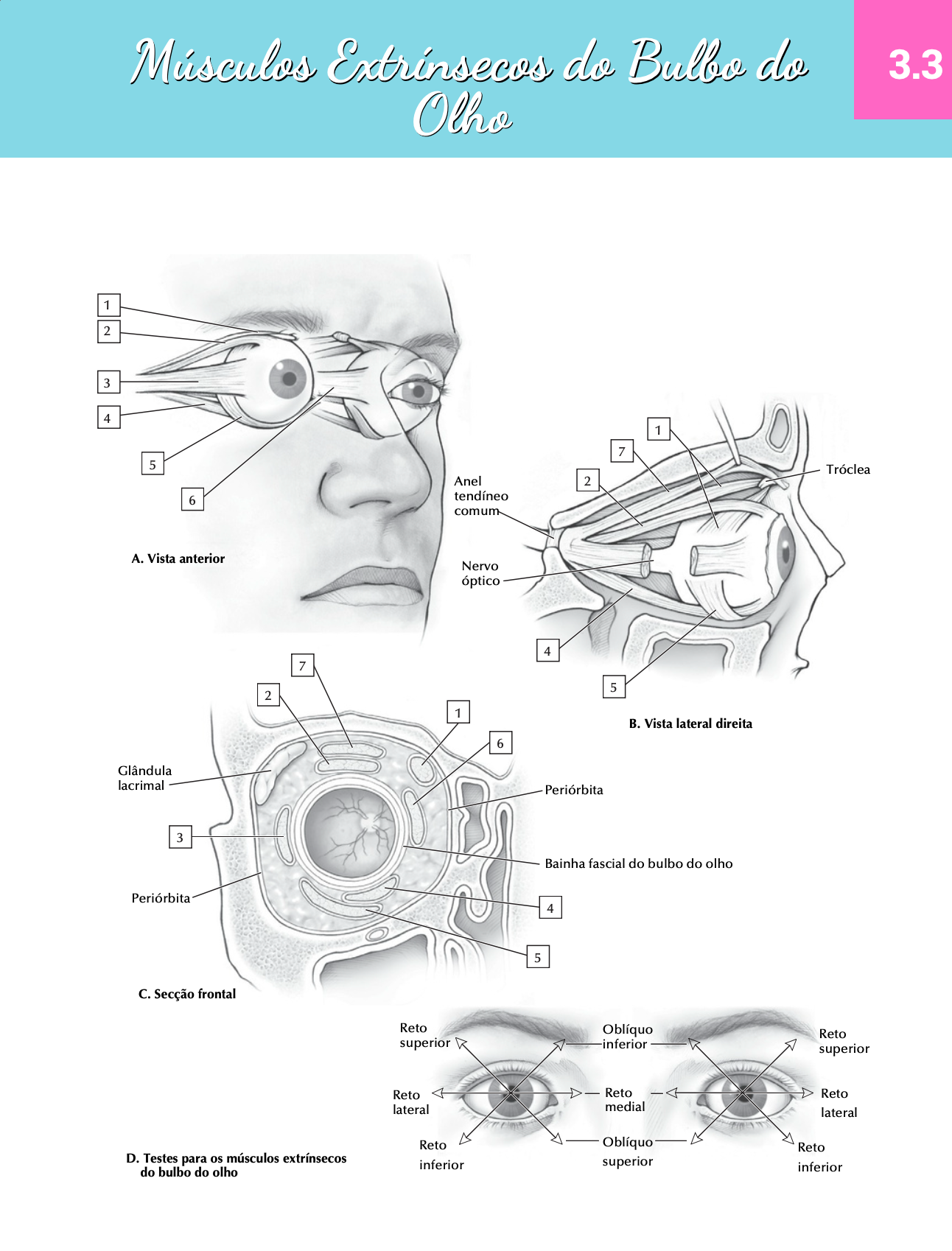 Captura de Tela 2025-09-23 às 10.51.04