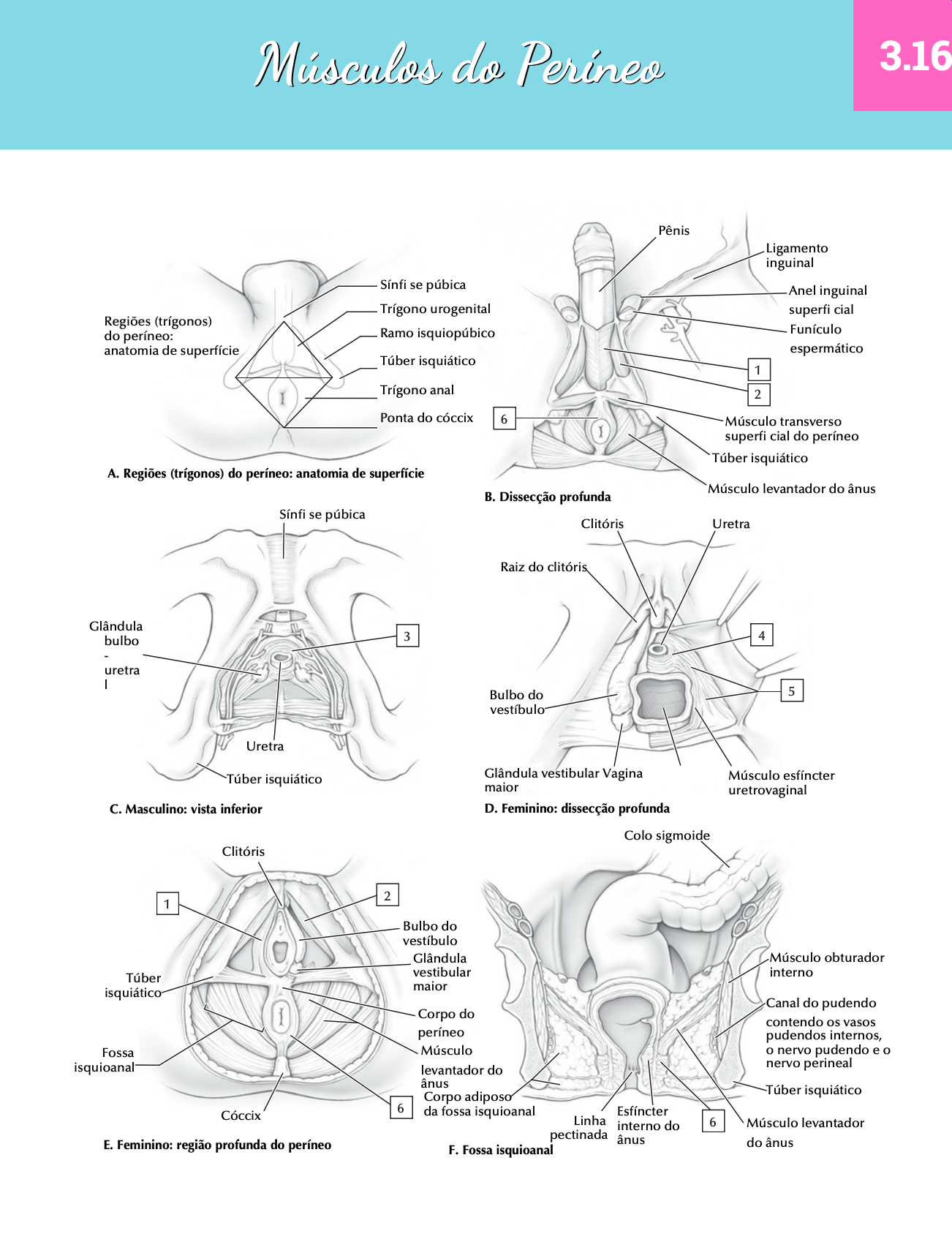 Captura de Tela 2025-09-23 às 10.51.22