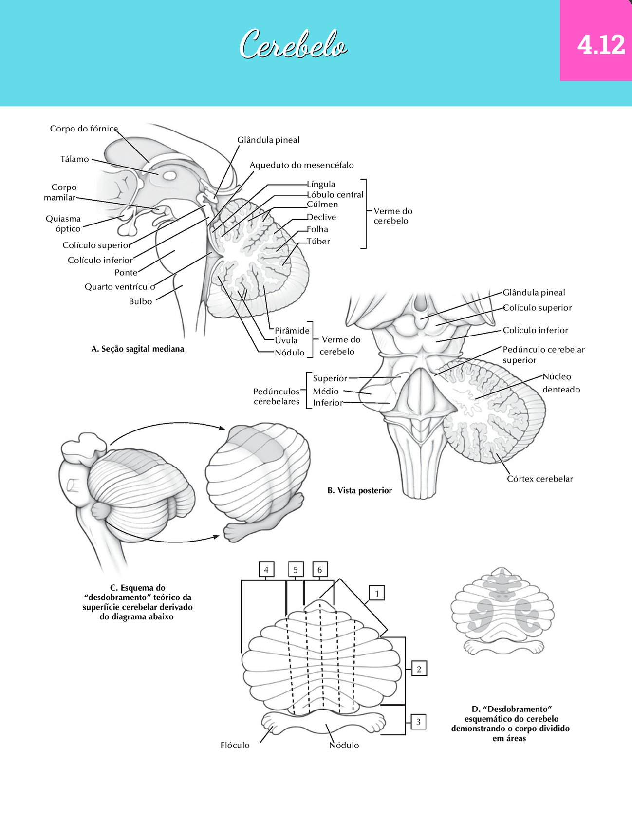 Captura de Tela 2025-09-23 às 10.51.36