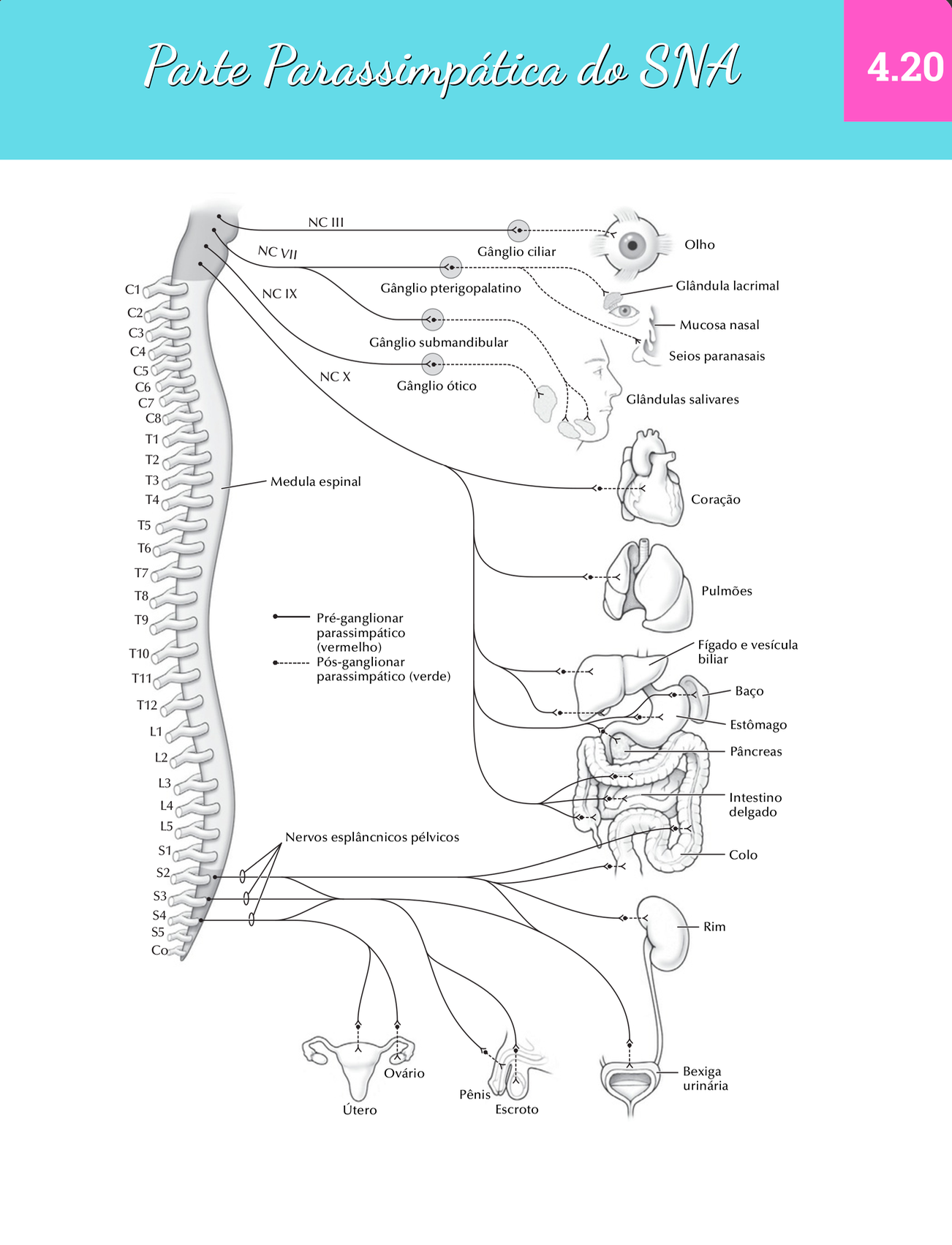 Captura de Tela 2025-09-23 às 10.51.49